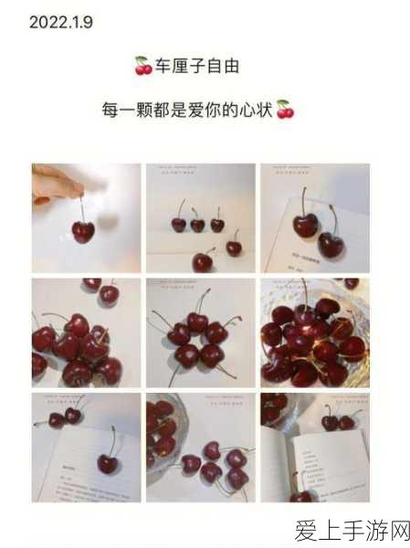 探秘幻兽帕鲁，骨头获取秘籍大公开