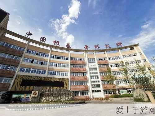 手游界新宠，揭秘75欧姆N头在游戏设备中的独特魅力与实战应用