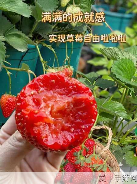 手机国补上线高端手机纷纷破价6000元