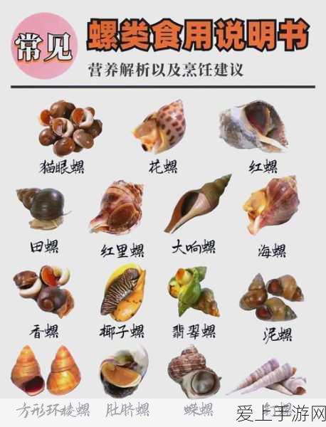 非RMB玩家必看！诛仙手游光速提升道法全攻略
