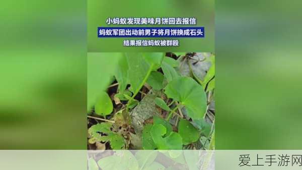 无人深空，货船升级秘籍大揭秘