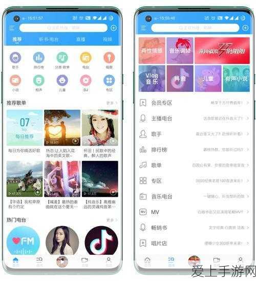 深入探秘，魔域正式版的魅力世界