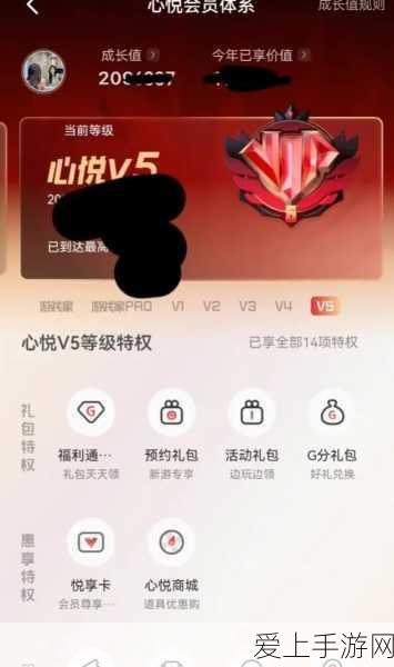 金铲铲之战S13赛季炼尸荏妮阵容崛起，深度策略与实战技巧揭秘