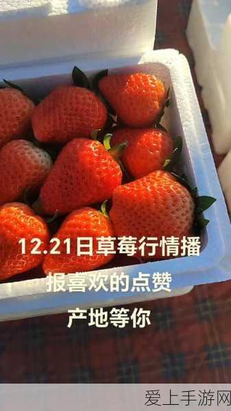 逸剑风云决，冷无情入队秘籍大公开
