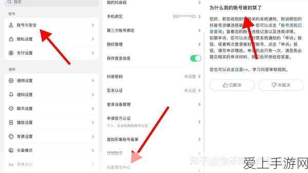 和平精英第一人称消失之谜，玩家热议与官方回应深度解析
