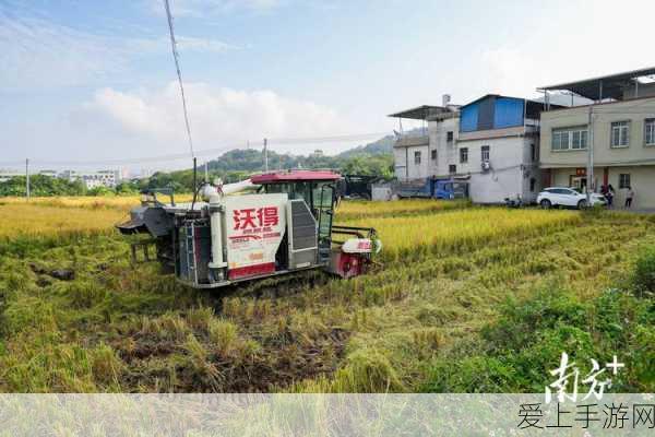 烟雨江湖深度揭秘，元引归心秘籍获取全攻略及实战技巧