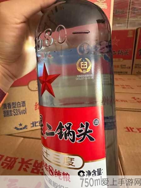 太极熊猫3深度剖析，雷月刀客角色特性与绝技全揭秘
