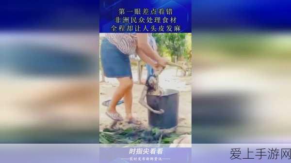 决胜保卫萝卜沙漠 6 关，详细攻略秘籍大揭秘