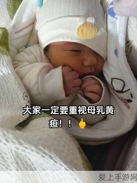 决胜保卫萝卜沙漠 6 关，详细攻略秘籍大揭秘