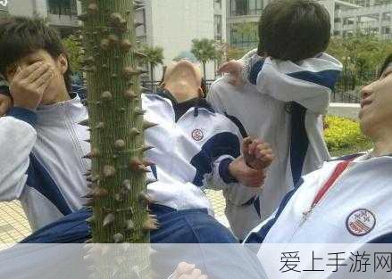 稻妻风光尽收眼底，原神稻妻全观景点解锁攻略与美景探索大赛