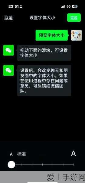 王者荣耀新战术揭秘，项羽辅助如何逆袭Carry全场