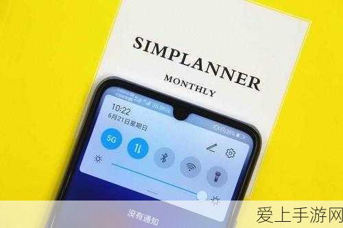 哈利波特，魔法觉醒——猫头鹰的神奇作用与深度解析