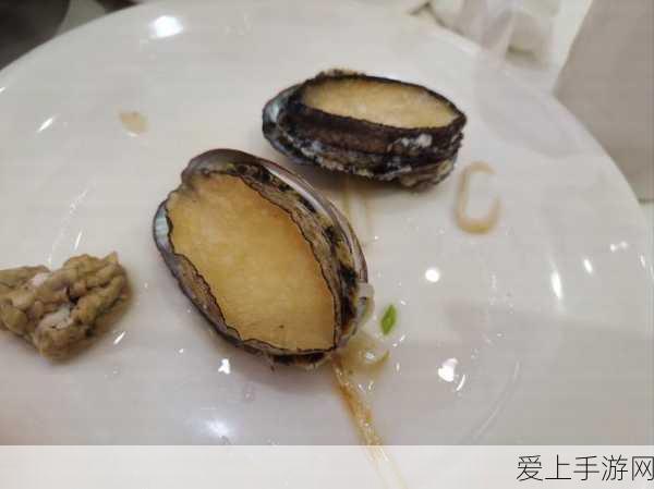 仙境传说新启航，武僧流派全方位解析与推荐