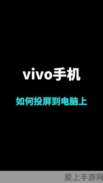 炉石传说诺米贼乱斗夺冠卡组揭秘，十二连胜战术深度剖析