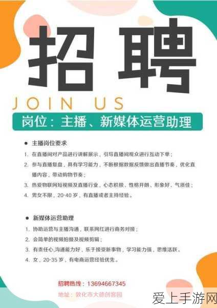 炉石传说诺米贼乱斗夺冠卡组揭秘，十二连胜战术深度剖析