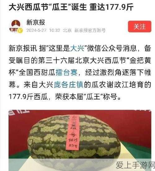 揭秘PVZ2中文版，植物大战僵尸2中究竟藏有多少种神奇植物？
