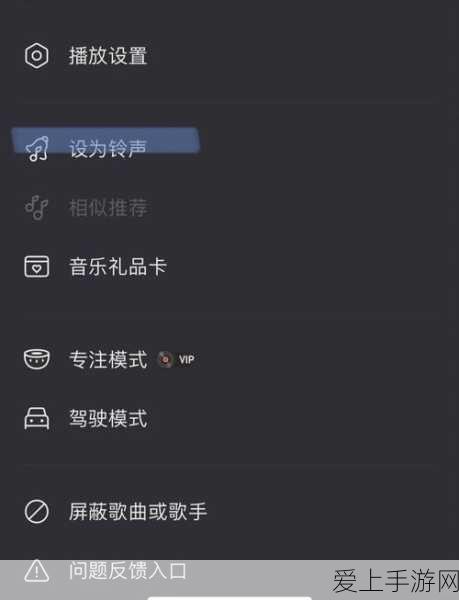 探秘无主之地 2 魔女冷却圣物，全方位解析与实战攻略