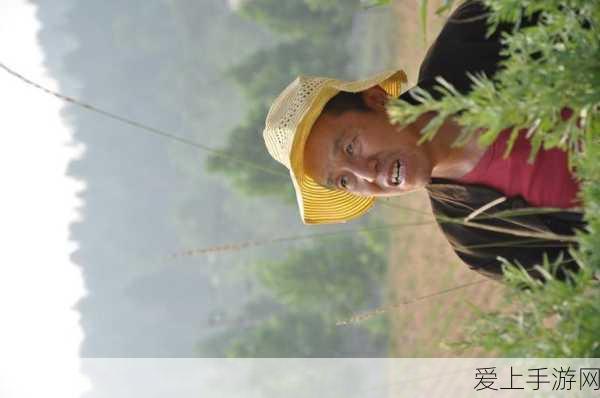 王者荣耀巅峰赛积分继承大揭秘，规则详解与实战攻略