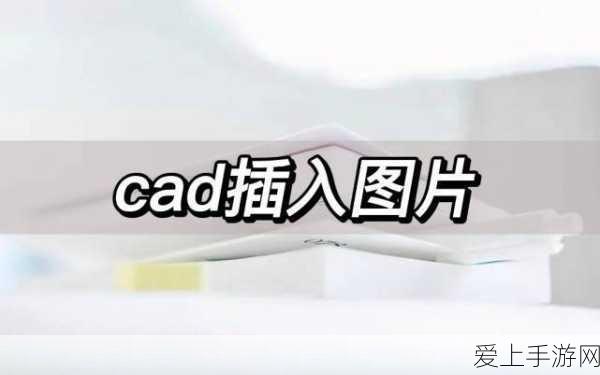 DNF2024春节套晴空之岚光环属性大曝光，神器降临助力玩家争霸阿拉德！