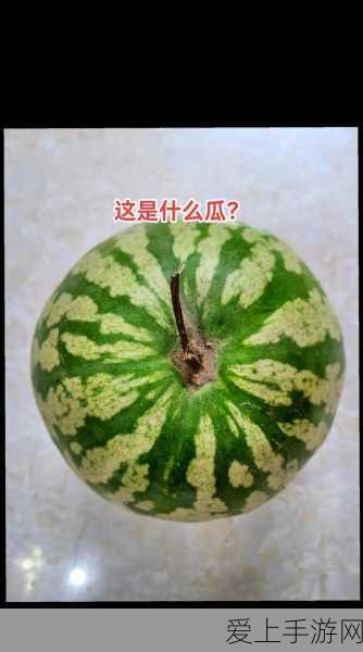 魔兽世界怀旧服WLK，神牧天赋终极指南，打造治疗巅峰！