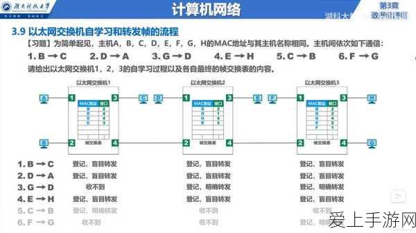 星露谷物语新手前期必备指南，开启精彩农场之旅