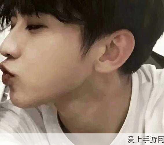 怪物猎人世界终极武器进化图鉴，解锁最强属性与战斗策略