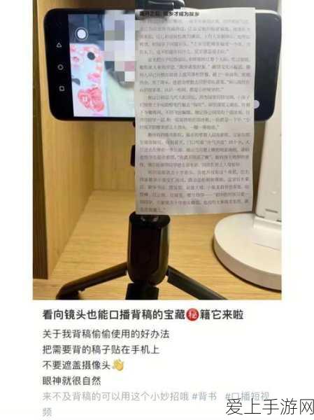 辐射避难所PC版生存模式全攻略，挑战极限，打造不灭避难所