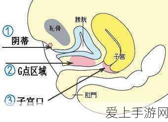 2024智能网联汽车大赛10月京城启幕，手游联动体验震撼来袭！