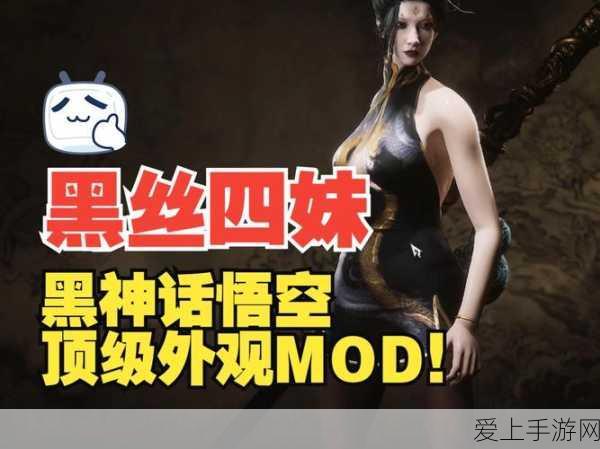 大话西游手游，极速飞升攻略，揭秘高效成长与竞技秘籍