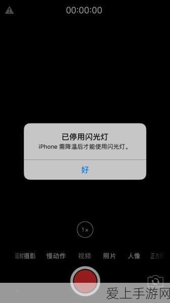 特斯拉Robotaxi出行费用大揭秘，马斯克预言将与公交费比肩