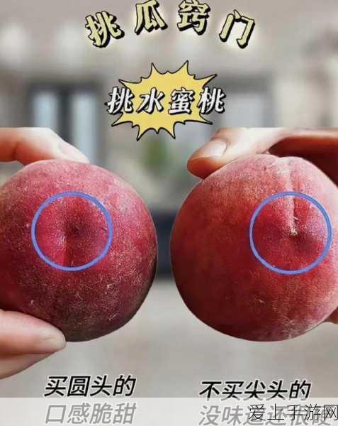 崩坏三深度攻略，月之环等级速升秘籍，解锁顶级战力！
