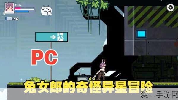手游攻略，代号鸢4-11关卡速通秘籍，策略布局与实战技巧深度剖析