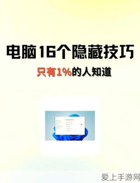 哈利波特魔法觉醒，赫奇帕奇线索大揭秘，拼图寻宝之旅全攻略