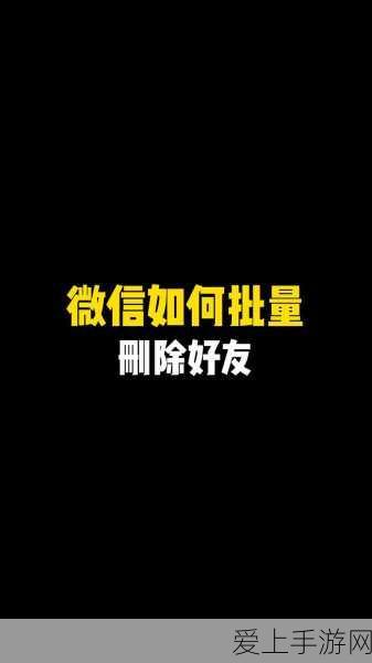 深度剖析，保卫萝卜 2 与 3 究竟谁更胜一筹？