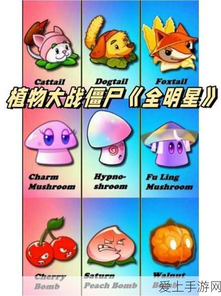 探寻翠竹林白雾泽土地庙的神秘所在