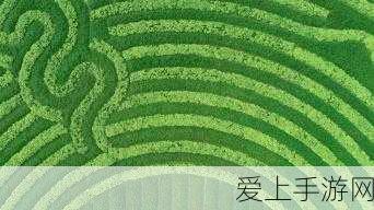 数贸会人工智能展区前瞻，机器人、大模型与黑科技震撼亮相
