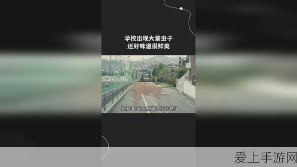 闪耀暖暖，解锁海色信笺奥秘，全面掌握感应位置攻略