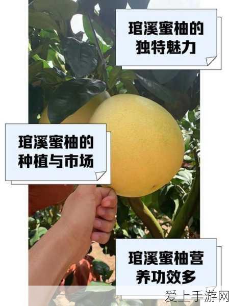 口袋妖怪漆黑魅影，反转世界探险秘籍大公开，冒险旅程即刻开启！
