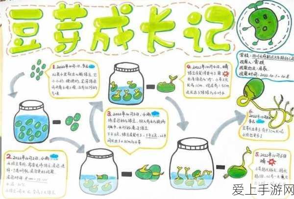 桃源梦境启新章，南柯·山河侠影活动深度解析与精彩看点