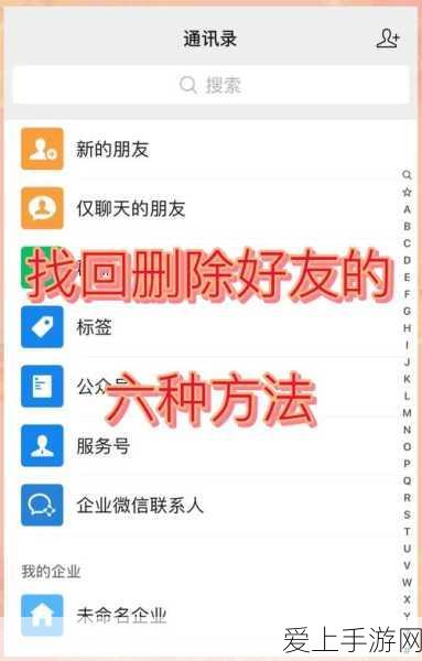 萤火突击国际服深度攻略，防弹插板实战应用与技巧解析