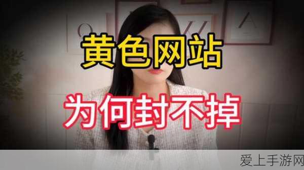 米游社深度指南，全面掌握原神账号数据查询技巧