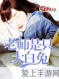 怪物猎人世界，新手攻略大揭秘，征服黑龙与掌握救援支援精髓