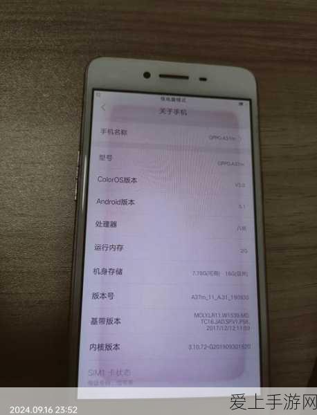 摩尔庄园手游，详尽攻略！一键解锁丢失鱼竿的秘密位置