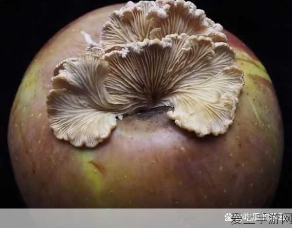 手游界新动向，肖特集团收购QSIL，半导体技术助力游戏硬件革新