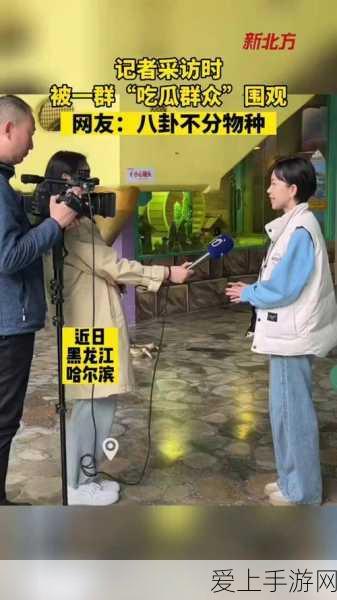 火影忍者OL手游，深度解析微信区VS QQ区，玩家人数与选择策略大揭秘