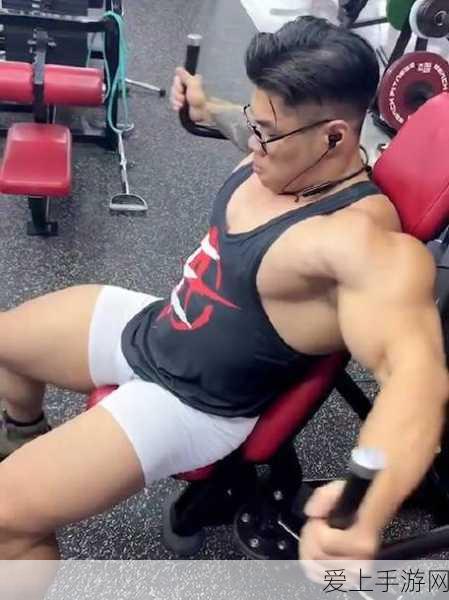 妄想山海拍卖行，深度解析珍稀物品竞拍与交易策略