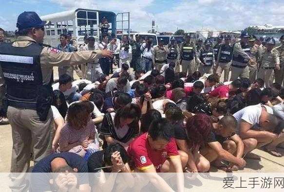 球球大作战，揭秘宠物羊驼的获取攻略与趣味玩法