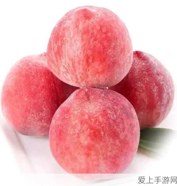 幻塔探险指南，揭秘卡兰迪神秘位置与深度玩法攻略
