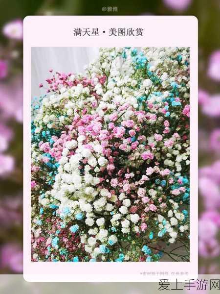 暗黑破坏神4法师开荒全攻略，解锁前期最强流派与技能搭配