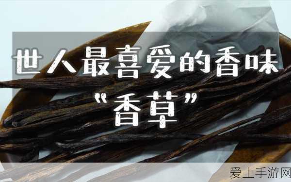 射雕手游绝美捏脸大赛，顶尖数据揭秘与创意比拼